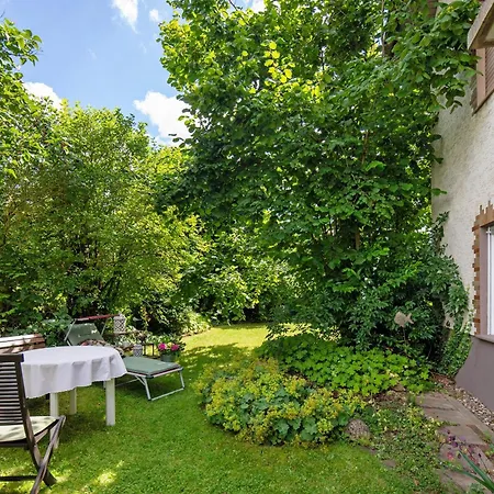 Schwalm - Aue
